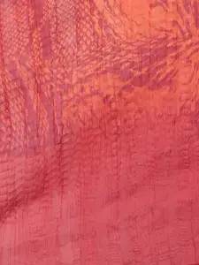 Style Quotient Women Red Printed Scarf