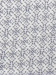 Style Quotient Women White & Blue Printed Scarf