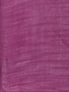 Style Quotient Women Purple Solid Scarf