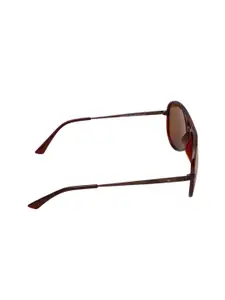 GIO COLLECTION Women Brown Aviator Sunglasses GM6191C05