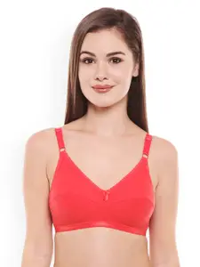 Bodycare Pack Of 3 Assorted Solid Non-Wired Non Padded Everyday Bra