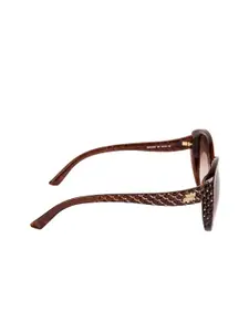 SWAROVSKI Women Brown Cateye Sunglasses SK0068 58 05F