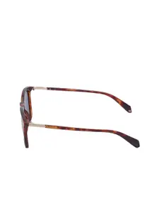 Polaroid Men Blue Square Sunglasses