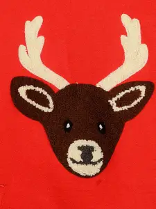 Cherry Crumble Kids Embroidered Cotton Hooded Festive Wear Sweatshirt