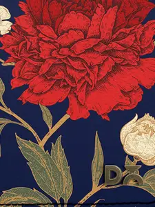 DailyObjects Women Blue & Red Printed Zip Around Wallet