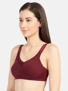 Sonari Maroon Solid Non-Wired Non Padded T-shirt Bra alexmaroon30C