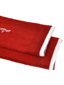 Allen Cooper Men Pack Of 3 Assorted Cotton Calf-Length Socks