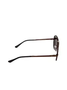 GIO COLLECTION Men Brown Lens & Brown Aviator Sunglasses with UV Protected Lens GM6084C02