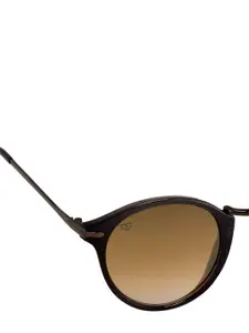 Walrus Men Brown Lens & Black Oval Sunglasses WSGM-JKSN-II-090909