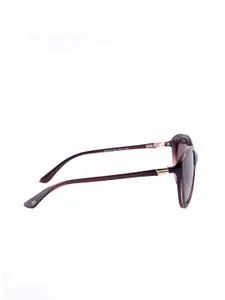 GIO COLLECTION Women Brown Lens & Brown Cateye Sunglasses - GM3021C02-Brown
