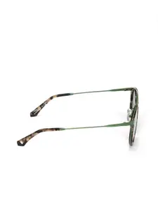 ENRICO Women Green Lens & Green Browline Sunglasses - EN M 2023 C3-Green