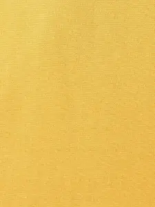 Honey by Pantaloons Women Yellow Printed Sweatshirt