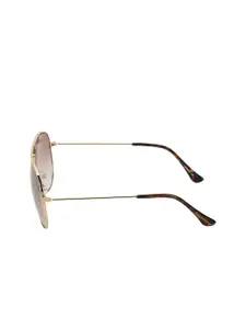 Royal Enfield Men Brown Aviator Sunglasses
