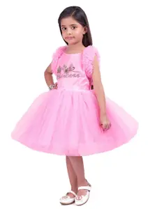 Pink Chick Pink Net Dress