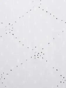 Fabindia Women White Chikankari Kurta