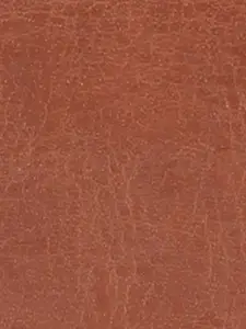 ZORO Men Black & Brown Solid Belt & Wallet Accessory Gift Set