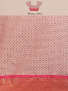 Silk Land Blue & Fuchsia Floral Pochampally Saree