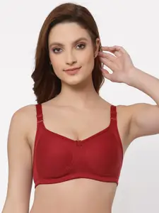 Floret Pack of 2 Non Padded Non-Wired Cotton Full Coverage Everyday Bra With Moulded Cups