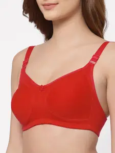 Floret Pack of 2 Non Padded Non-Wired Cotton Full Coverage Everyday Bra With Moulded Cups