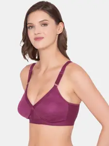 Souminie Pack of 2 Purple Bra