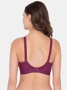 Souminie Pack of 3 Purple Seamless Plus Size Bra