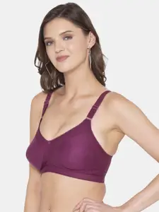 Souminie Magenta Solid Cotton Non Padded Bra Pack Of 3