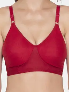 Souminie Women's Cotton Seamless Bra- Everyday Fit Pack of 3