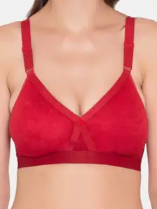 Souminie Red & Pink Bra