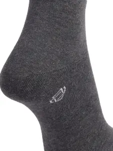 Dollar Socks Men Pack Of 3 Assorted Cotton Above Ankle Length Socks