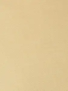 Ajile by Pantaloons Men Brown Slim Fit Shorts