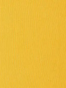 People Mustard Yellow Cut-out Crop Top