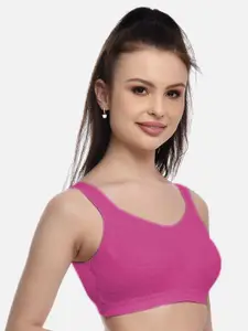 FIMS Purple & Pink Bra