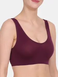 Amour Secret Maroon & Nude-Coloured Pack Of 2 Solid Non-Wired Non Padded Everyday Bra