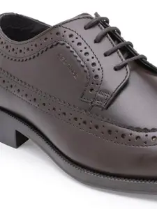 Red Tape Men Brown Solid Formal Leather Borgues
