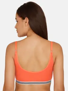 Zivame Women Orange Solid Bralette Bra