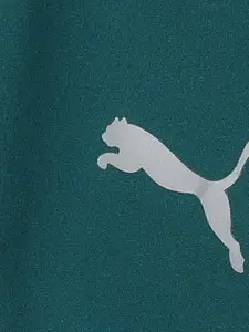 one8 x PUMA Boys Teal VK Shorts B Slim Fit Training or Gym Sports Shorts