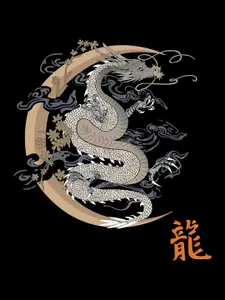 THREADCURRY Men Black Anime Print Tshirt