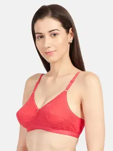 Sonari Coral Pink Solid Non-Wired Non Padded Everyday Bra alphacoral30B