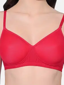 FIMS Pack Of 2 Lightly Padded Seamless Full Coverage Everyday Bra With All Day Comfort