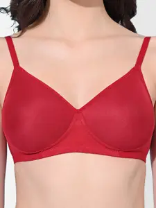 FIMS Pack Of 2 Non-Wired Lightly Padded Seamless Everyday Bra With All Day Comfort