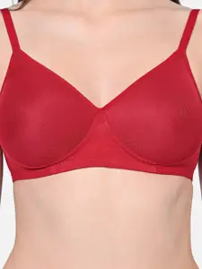 FIMS Pack Of 2 Animal Lightly Padded Full Coverage Everyday Bra With All Day Comfort