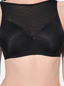 FIMS Pack Of 2 Animal Lightly Padded Full Coverage Everyday Bra With All Day Comfort