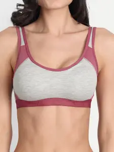 Aimly Full Coverage Cotton Sports Bra