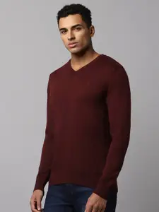 Allen Solly V-Neck Woollen Pullover