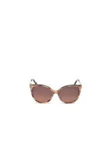 SWAROVSKI Women Cateye Sunglasses