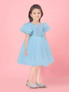 BAESD Embellished Flutter Sleeve Net Fit & Flare Dress With Corsage