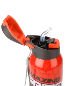 Marvel Red & Black Spiderman Printed Stainless Steel Double Wall Vacuum Flask 600 ml