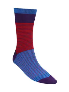 Dollar Socks Men Pack Of 3 Striped Calf Length Socks