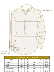 Andamen Premium Vertical Striped Button-Down Collar Cotton Casual Shirt