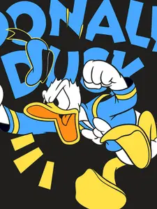 YK Disney Boys Donald Duck Printed Hooded Cotton Sweatshirt